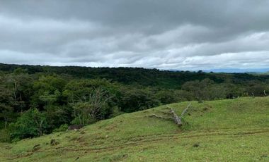 VENDO 30 HECTAREAS-  TITULADO -EN BOQUETE