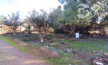 Terreno Construccion  en Venta en Gran Terreno en Venta con Alto Potencial Comercial