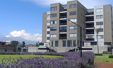 Departamento Venta Metepec 216 m2 planta baja   a 10 min de Galerías, 5 minutos UVM,  TEC MILENIO, Metepec Centro, salidas rápidas CDMX