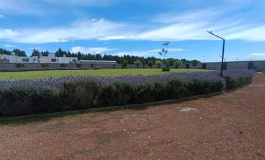 Departamento Venta Metepec 216 m2 planta baja   a 10 min de Galerías, 5 minutos UVM,  TEC MILENIO, Metepec Centro, salidas rápidas CDMX