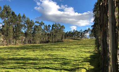 Vendo dos haciendas en Pintag (3,5 y 3,8 Ha. a $10 y $13 c/m2 respectivamente)