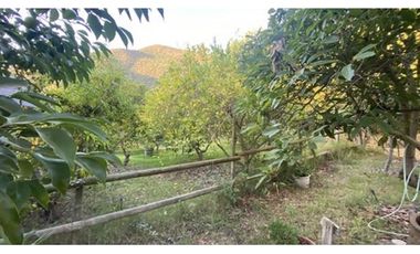 Espectacular casa en parcela de 1 Ha. en el sector Carmen de Las Rosas, Melipilla