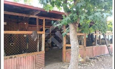 Parcela en Arriendo en Zona Sur Oriente de Paine/ Chada