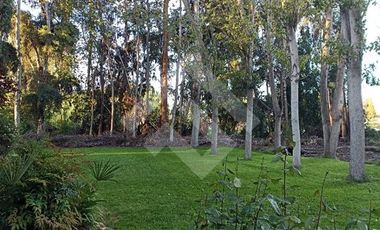 Parcela en Arriendo en Zona Sur Oriente de Paine/ Chada