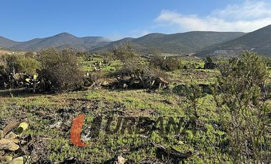 PARCELA EN FUNDO EL HINOJAL