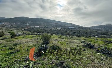 PARCELA EN FUNDO EL HINOJAL