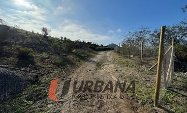 PARCELA EN FUNDO EL HINOJAL