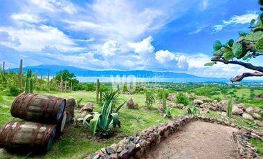 TERRENO EN VENTA EN CHAPALA - EL SAUZ , JOCOTEPEC