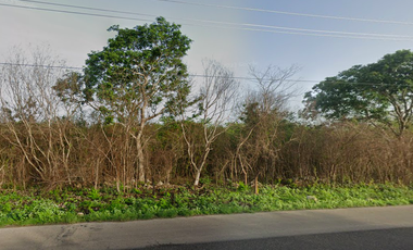 Terreno en VENTA en Conkal, Yucatán