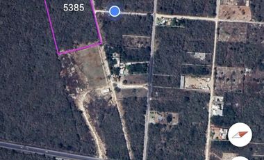 Terreno en VENTA en Conkal, Yucatán