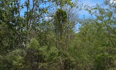 Terreno en VENTA en Conkal, Yucatán