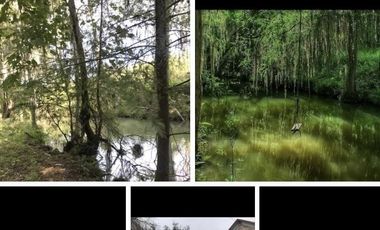 Rancho en Venta en Linares