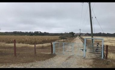 Rancho en Venta en Linares