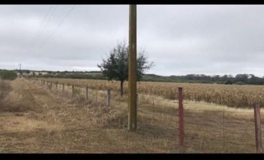 Rancho en Venta en Linares