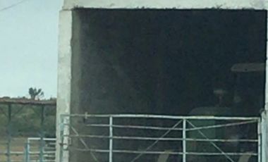 Rancho en Venta en Linares