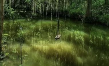 Rancho en Venta en Linares