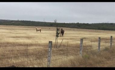 Rancho en Venta en Linares