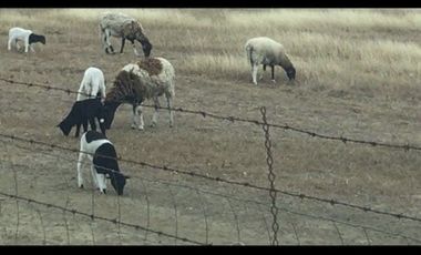 Rancho en Venta en Linares