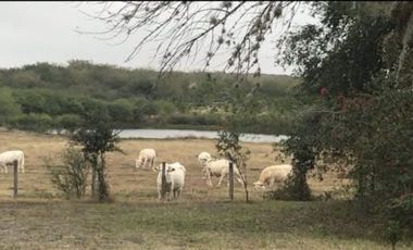 Rancho en Venta en Linares