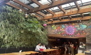 LOCAL CONDESA