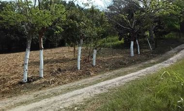 TERRENO CAMPESTRE EN VENTA  JUANA MOZA. TUXPAN VERACRUZ.