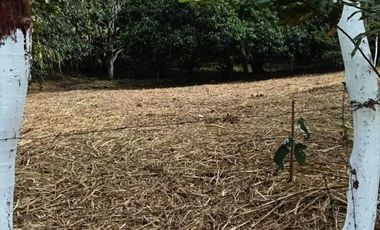 TERRENO CAMPESTRE EN VENTA  JUANA MOZA. TUXPAN VERACRUZ.