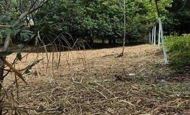 TERRENO CAMPESTRE EN VENTA  JUANA MOZA. TUXPAN VERACRUZ.