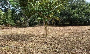 TERRENO CAMPESTRE EN VENTA  JUANA MOZA. TUXPAN VERACRUZ.