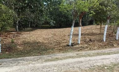 TERRENO CAMPESTRE EN VENTA  JUANA MOZA. TUXPAN VERACRUZ.