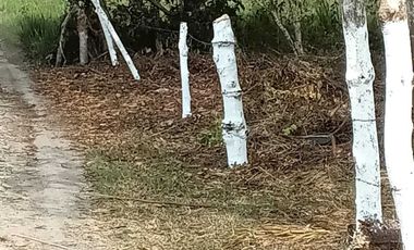 TERRENO CAMPESTRE EN VENTA  JUANA MOZA. TUXPAN VERACRUZ.