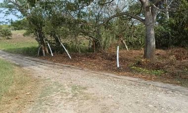 TERRENO CAMPESTRE EN VENTA  JUANA MOZA. TUXPAN VERACRUZ.