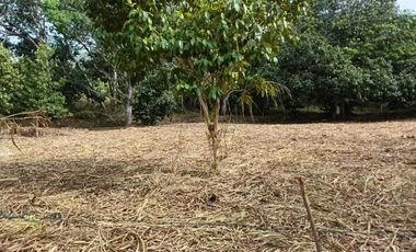 TERRENO CAMPESTRE EN VENTA  JUANA MOZA. TUXPAN VERACRUZ.