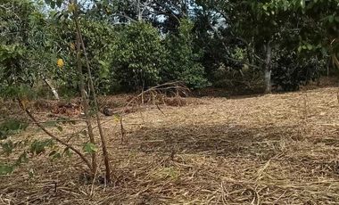 TERRENO CAMPESTRE EN VENTA  JUANA MOZA. TUXPAN VERACRUZ.