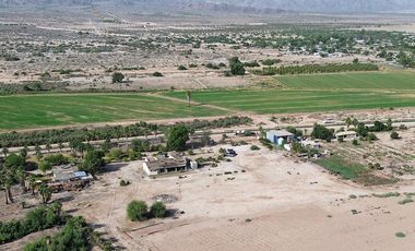 Oportunidad para Proyecto Agrícola, Industrial o Logístico