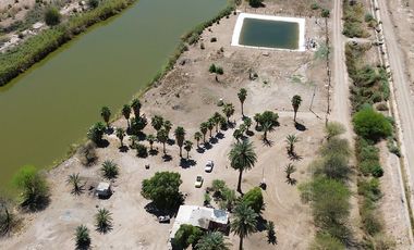 Rancho en Venta – Con Producción de Palmas Datileras y Sistema de Riego