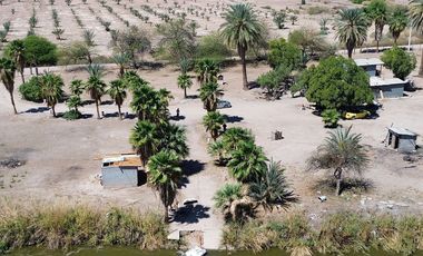 Rancho en Venta – Con Producción de Palmas Datileras y Sistema de Riego