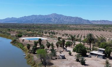 Rancho en Venta – Con Producción de Palmas Datileras y Sistema de Riego