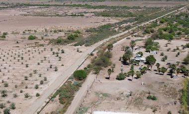 Rancho en Venta – Con Producción de Palmas Datileras y Sistema de Riego