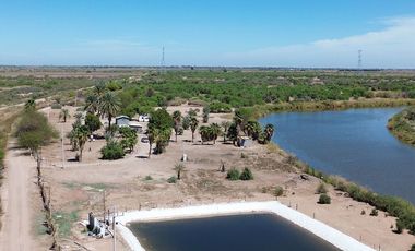 Rancho en Venta – Con Producción de Palmas Datileras y Sistema de Riego