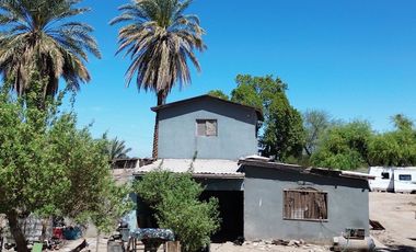 Rancho en Venta – Con Producción de Palmas Datileras y Sistema de Riego