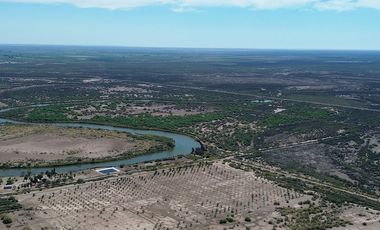 Rancho en Venta – Con Producción de Palmas Datileras y Sistema de Riego