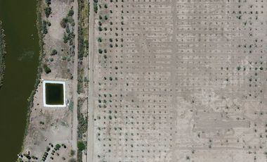 Rancho en Venta – Con Producción de Palmas Datileras y Sistema de Riego