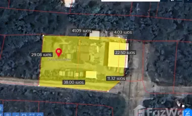 Land for sale in Rim Tai, Chiang Mai