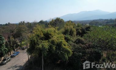 Land for sale in Rim Tai, Chiang Mai