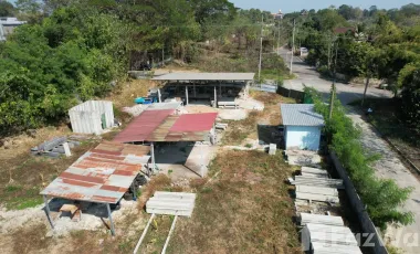 Land for sale in Rim Tai, Chiang Mai