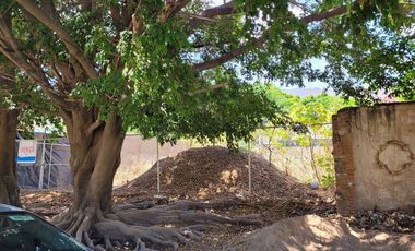 Hermoso terreno en La Floresta