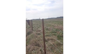Campo en Coronel Vidal