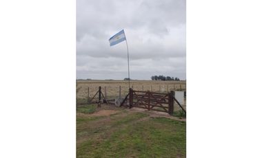Campo en Coronel Vidal