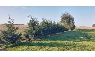Campo en Coronel Vidal
