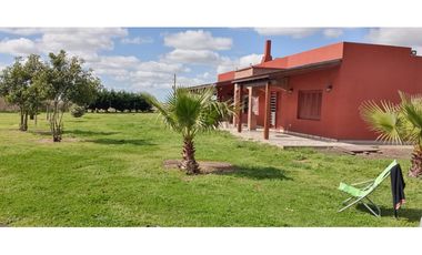Campo en Coronel Vidal